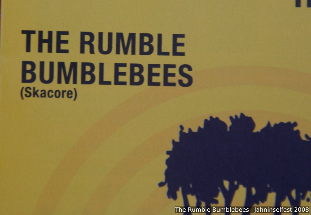 IMG-2050b-JiF08-The-Rumble-Bumblebees.jpg